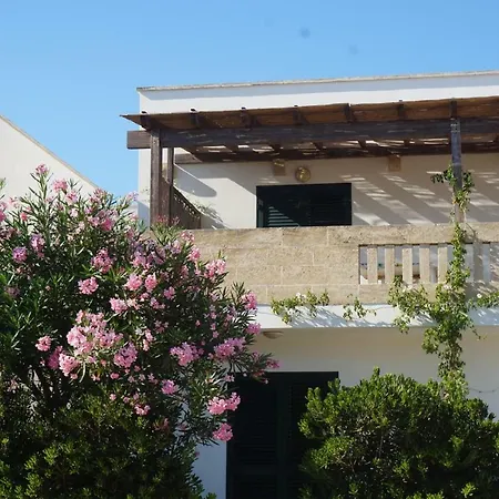 Lägenhet Residenza Stella Maris Torre Pali